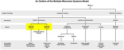 Narrative-based autobiographical memory interventions for PTSD: a meta-analysis of randomized controlled trials